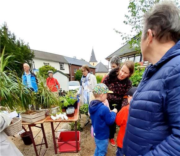 Nicht nur Pflanzen wurden getauscht, sondern auch viele Erfahrungen, Anregungen und Gartentipps. Diesen „PflanzenPLAUSCH“ genossen die männlichen und vor allem weiblichen Teilnehmer aus Buschhoven und den umliegenden Dörfern ganz besonders. Fotos: privat