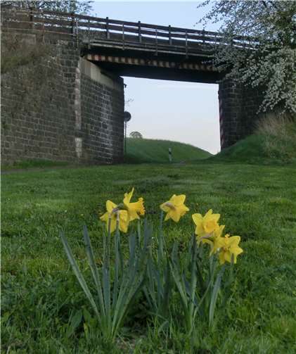 Nicht nur Privatgrundstücke mit Haus und Garten stehen dabei im Fokus, sondern auch Initiativen, die sich um die Pflege und Gestaltung kleiner öffentlicher Rabatte und Grünflächen in ihrem Wohnumfeld kümmern.Foto: privat