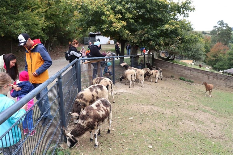 Nicht nur am Eröffnungstag Anfang Oktober war viel los im wiedereröffneten und runderneuerten Wildpark Westerwald – damit es gut weitergeht, wird am 10. November als nächster wichtiger Schritt ein Förderverein gegründet.Foto: Uli Schmidt 