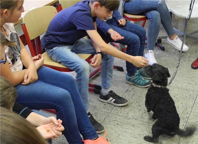 Eine besondere Schulstunde mit Leckerlis und Streicheleinheiten Nicht nur die SchülerInnen, sondern auch Schulhund Struppi, der das Tierheim kennt, sind begeistert von den Leckerli-Runden. Fotos: privat
