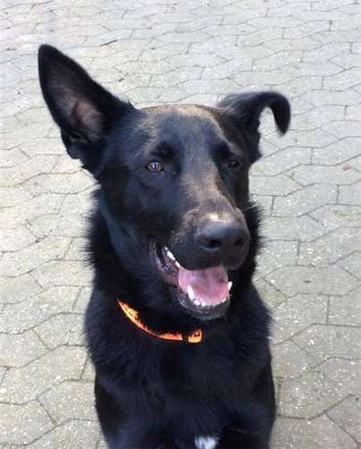 Niel, ein einziger Traum!privat