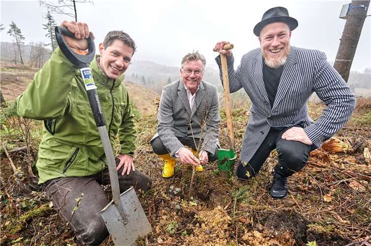 Nikolai Kalinke, Bernd Wieczorek und Christian Schröder pflanzten die ersten Setzlinge im Weiberner Wald.  Foto: Sascha Ditscher/evm