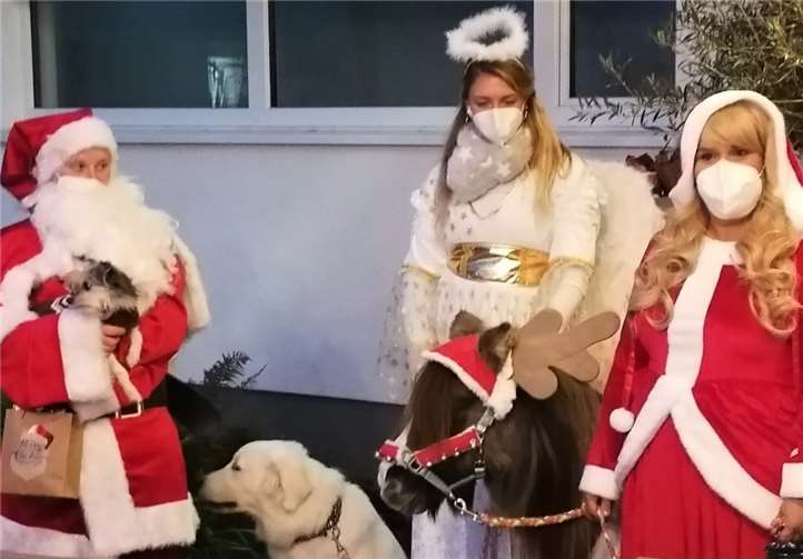 „Nikolaus“ Felicia Löhr mit Therapiehund Olaf auf dem Arm, Hund Anton, „Engel“ Maresa Kohnen, Pony Zina, „Nikolausin“ Ana Järke.Fotos: Hospiz-Verein Rhein-Ahr e.V.