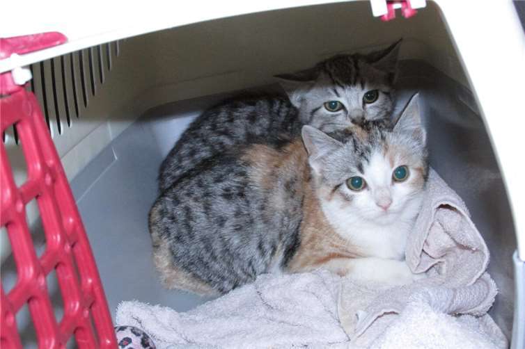 Ninette und Nella. Foto: privat