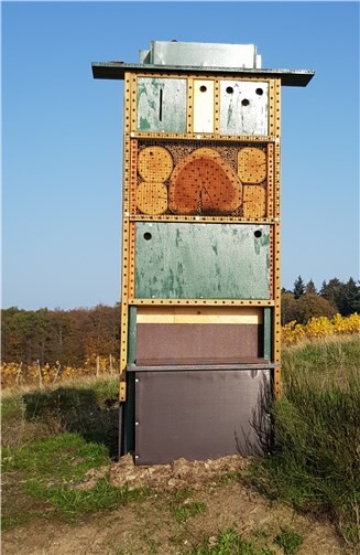 Nistkästen-Paten und –Erbauer gesucht werden gesucht.Copyright: Carl Jung