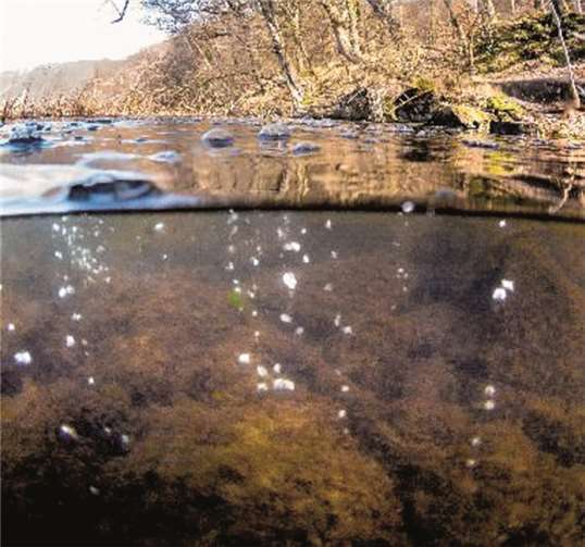 Noch heute entweicht aus der Magmakammer unter dem Laacher See Kohlendioxid, welches durch aufsteigende Gasblasen (Mofetten) sichtbar wird. privat