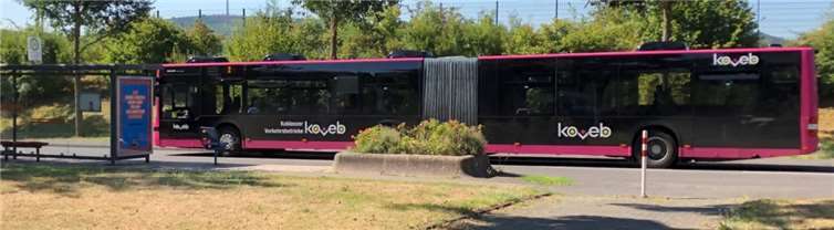 Noch ist der Einsatz von gasbetriebenen Omnibussen rentabler als Elektrobusse. Foto: privat
