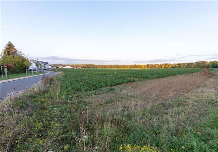 Noch ist der Merler Keil III eine grüne Fläche.