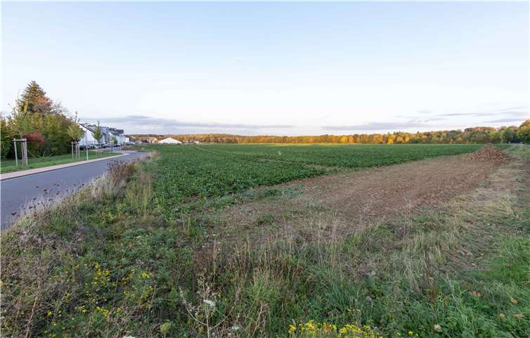 Noch ist der Merler Keil III eine grüne Fläche.