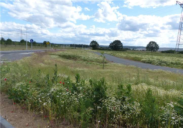 Noch ist der neue Gewerbepark unbebaut. Foto: J.B.