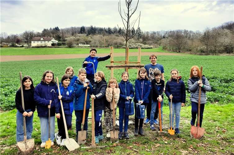 Noch kurz vor den Osterferien packten die Schülerinnen und Schüler der 4. Klasse der Grundschule Saffig tatkräftig an, um ihren Jahrgangsbaum zu pflanzen.  Foto: M. Patschula