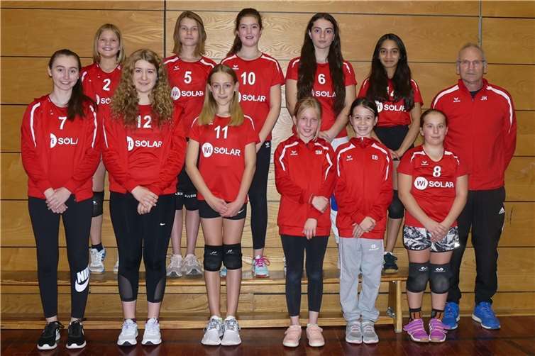 Noch sehr jung und schon erfolgreich - die 2. Dieblicher Volleyballmannschaft ist Tabellenführer der Kreisliga Nord Staffel B. Foto: Michael Wald