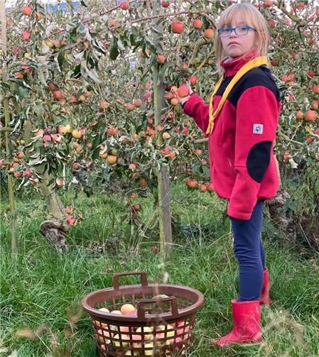Nora war bei der Zuhause Gruppenstunde dabei...Fotos: privat