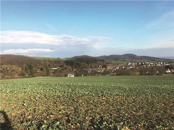 Nun kann auch in das seit Langem geplante Bau-Projekt „Martinsheim/Ernteweg“ in Angriff genommen werden. Foto: FRE