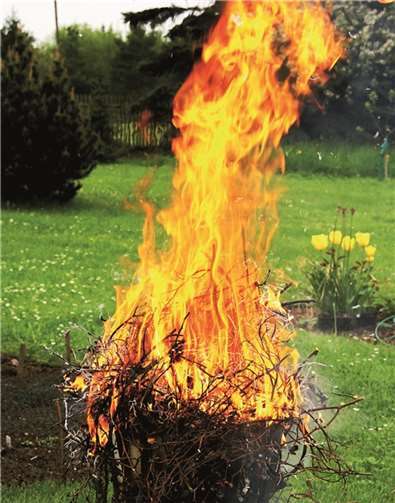 Nur in Ausnahmefällen ist das Verbrennen von Grünabfall erlaubt.  Privat