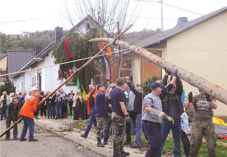Nur mit Muskelkraft wurde der riesige Kirmesbaum aufgestellt. privat