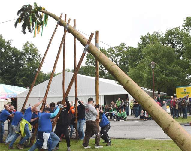 Nur mit Muskelkraft wurde in Straßenhaus der Kirmesbaum aufgestellt. Fotos: HEP