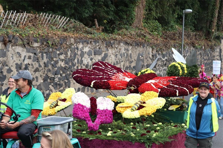 Nur mit der tatkräftigen Unterstützung von vielen Freiwilligen können die farbenprächtigen Motivwagen mit tausenden Dahlien geschmückt werden.