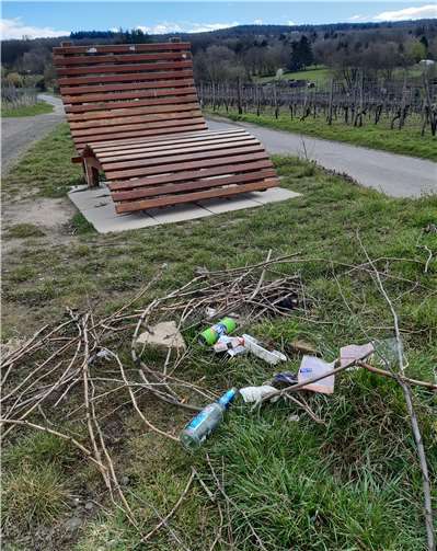 Nur wenige Tage nach dem Dreck-weg-Tag sah es leider schon wieder so aus. Foto: privat