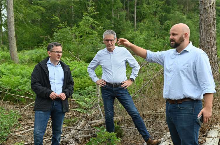 OB-Kandidat Dr. Marcel Will hatte Landtagspräsident Hendrik Hering und Bundestagskandidat Dr. Thorsten Rudolph eingeladen, vor Ort über die Zukunft des Lahnsteiner Waldes zu sprechen.Foto: privat