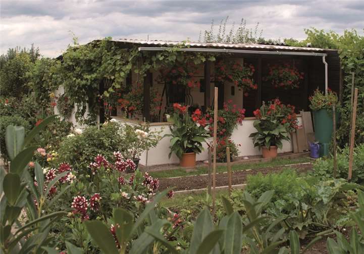 Oasen der Natur und der Ruhe mitten in der Stadt sind die Kleingartenparzellen.
