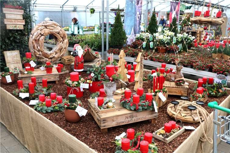 Ob klassisch als Kranz, im Topf oder im Kästchen – in Sachen adventliche Kerzen-Arrangements waren der Kreativität keine Grenzen gesetzt. Foto: DU