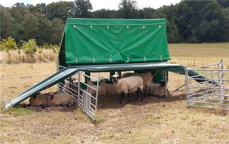 Ob natürlich oder „Marke Eigenbau“ – alle Tiere, die im Freien gehalten werden, brauchen bei großer Hitze ein schattiges Plätzchen und ausreichend frisches Wasser.Pressestelle der Kreisverwaltung