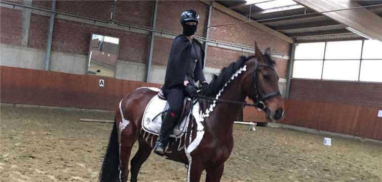 Ob nun Kartoffelslalom, Stangenlabyrinth oder Kreuzspringen, die Nachwuchsreiter zeigten ihr außerordentliches Talent.