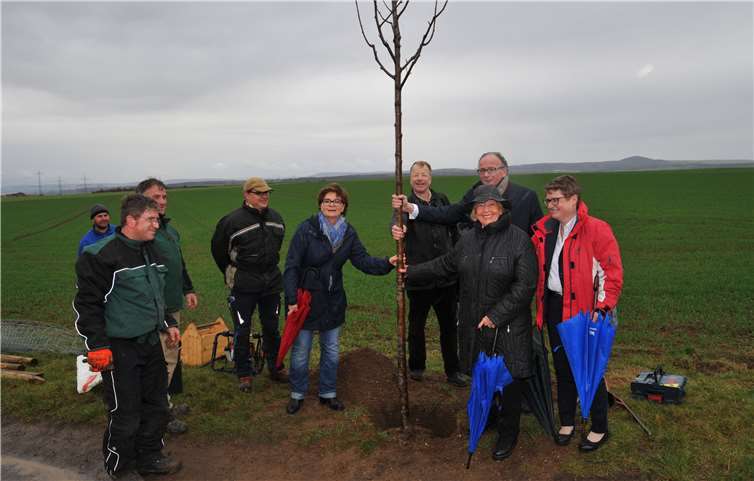 Oberbürgermeister Achim Hütten lobte während der Pflanzaktion auf dem Burgerberg das Engagement der Bürgerstiftung. Denn das Anpflanzen von Gewächsen sei ein wichtiger Schritt, um unter anderem dem Insektensterben entgegenzuwirken. Stadt Andernach/Maurer