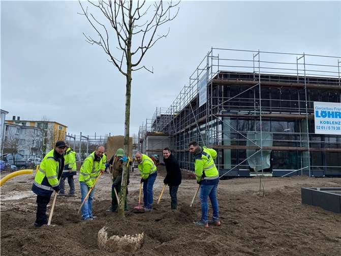 Oberbürgermeister David Langner packt mit an und pflanzt einen Baum. (V.l.n.r.): Mark Spitz (Landschaftsbau Nickel), Albert Diehl (Technischer Geschäftsführer Koblenzer Bäder GmbH), Jury Ratke (Landschaftsbau Nickel), Carlo Weißkopf (Betriebsleitender Geschäftsführer Koblenzer Bäder GmbH), David Langner und Benedict Nickel (Landschaftsbau Nickel).  Foto: Stadt Koblenz/Mandy Steffens