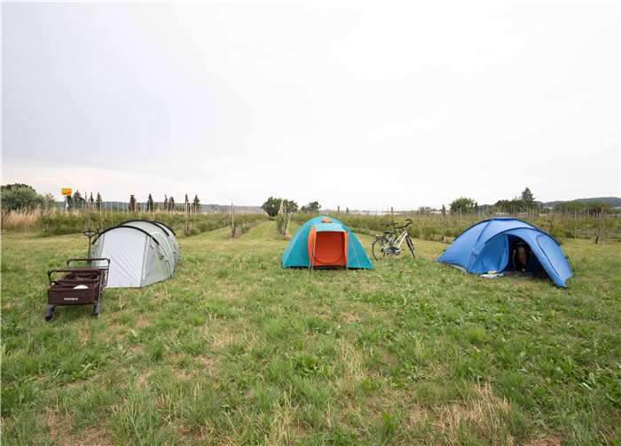 Oberhalb des Landschaftsschutzgebietes hatte man sich auf einer Wiese platziert.
