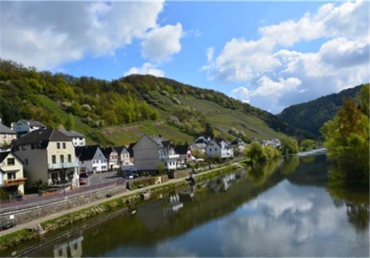Oberhofs Weinberge stehen im Mittelpunkt.