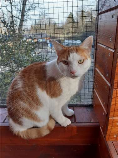 Oberschmuser Samy.  Foto: privat