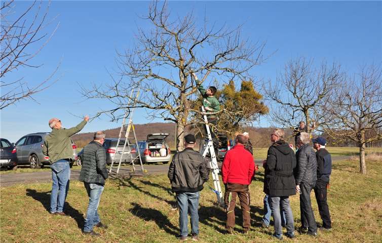 Obstbaum-Schnittkurs des NABU.Foto: Marcel Weidenfeller, NABU Hundsangen