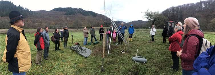 Obstbaumseminar in Dümpelfeld und Insul. Fotos: privat