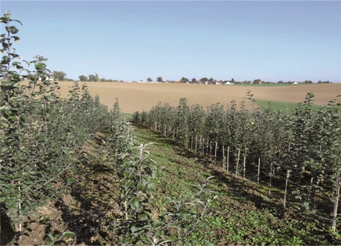 Obstwiesen sind Lebensräume. privat
