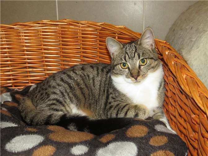 Odina. Fotos: privat