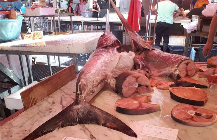 Oft wird in den Medien darüber berichtet, wie verschmutzt die Meere sind und dass es höchste Zeit wird, Plastik nicht mehr in den Meeren zu entsorgen sowie Plastik nachhaltig und nicht nur einmal zu verwenden. Fotos: Hans-Joachim Schmitz