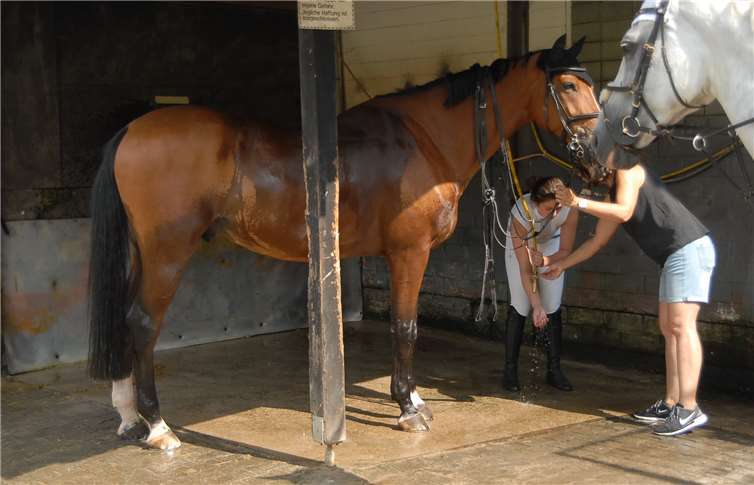 Ohne Abkühlung für Pferd und Reiter ging es nicht:Bei den extremen Temperaturen am Wochenende genossenZwei- und Vierbeiner das Duschbad nach dem Turnierstart.