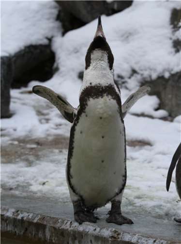 Ohne Wasser ist es langweilig.