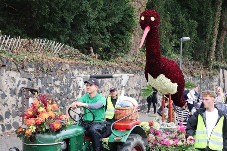 Ohne die tatkräftige Unterstützung von freiwilligen Wagenengeln, würde der Blumenkorso in Erpel nicht stattfinden können.
