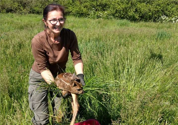Olga Hanisova im Einsatz. Die Drohne hat ein Kitz gefunden. Jetzt heißt es, behutsam vorzugehen, damit sich der Stress für das Tier in Grenzen hält. Wichtig ist, dass alle notwendigen Schutzmaßnahmen eingehalten werden.Fotos: Olga Hanisova