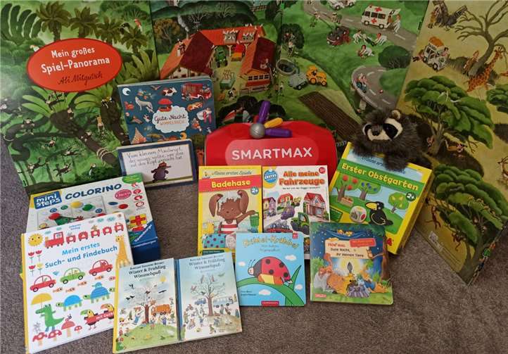 Online präsentierte die Referentin Bücher und Spiele, die zur Sprachförderung geeignet sind. Foto: Frühe Hilfen