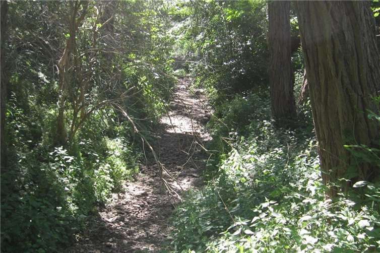 Orbach Sommer Juli 2020.