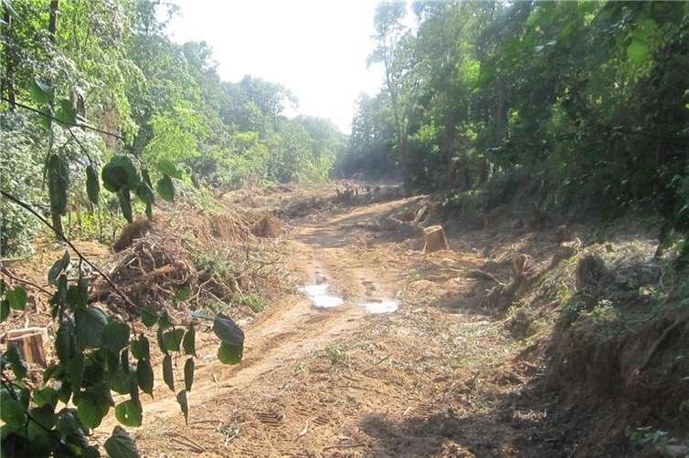 Orbach Sommer Juli 2021.