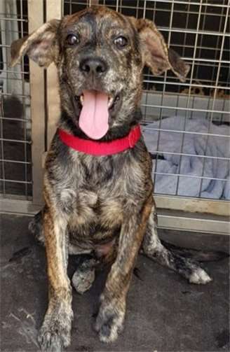 Oregon sprüht vor Tatendrang und Fröhlichkeit. privat