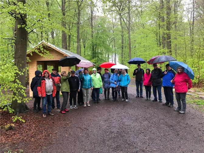 Gesund und aktiv im Grünen Organisiert vom Förderverein des Kur- und Heilwaldes findet das Training jeden Mittwoch unter professioneller Anleitung von Dr. Jörg Henning, unterstützt von Dr. Wolfgang Schnabl und weiteren Mitgliedern der Gruppe statt. Foto: Förderverein für den Kur-und Heilwald Lahnstein