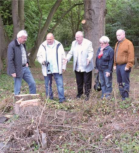 Ortstermin der FWG im Schlosspark Neuwied.privat
