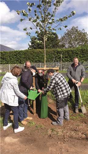 Ortsvorsteher Thomas Bayer zusammen mit Mitgliedern der CDU Rheinbach bei der Baumpflanzaktion an der L113. Foto: privat