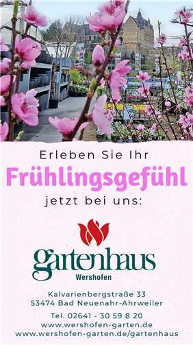 Osterei #9: Gartenhaus Wershofen